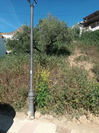 Terreno en calle Santa Argéntea, 706