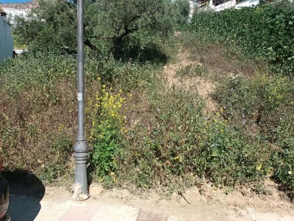 Terreno en calle Santa Argéntea, 706