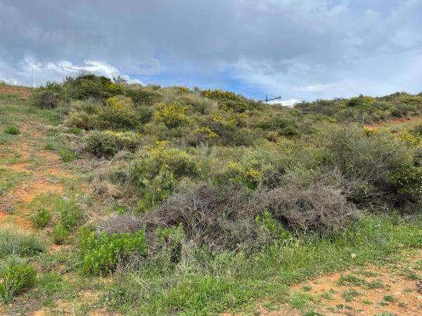 Terreno en La Cala Golf - Lagar Martell