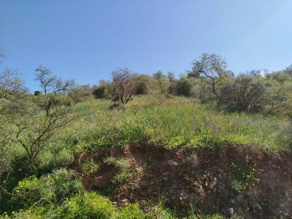 Terreno en finca la parra y la victoria s/n