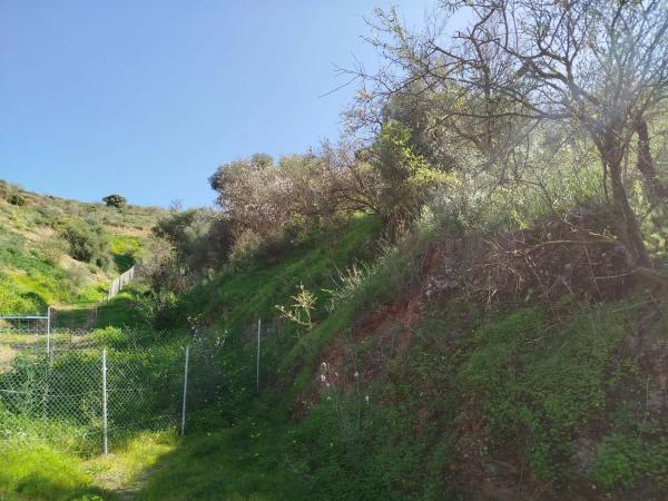 Terreno en finca la parra y la victoria s/n