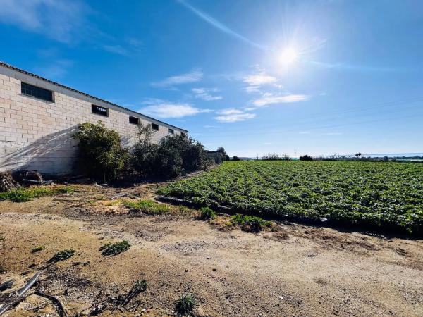 Terreno en calle Doctora Ana Carmona Martín