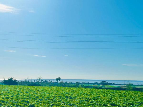 Terreno en calle Doctora Ana Carmona Martín