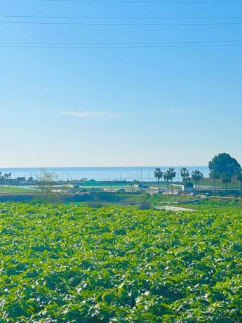Terreno en calle Doctora Ana Carmona Martín