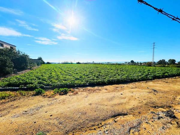 Terreno en calle Doctora Ana Carmona Martín