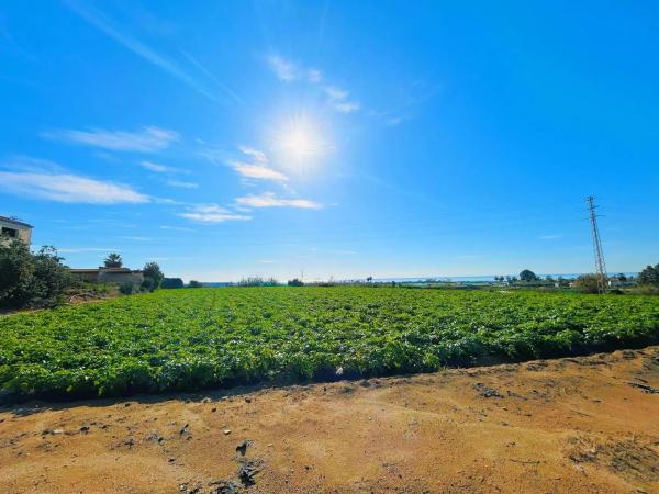 Terreno en calle Doctora Ana Carmona Martín