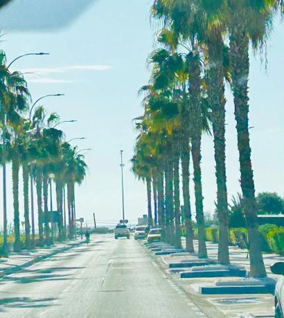 Terreno en calle Doctora Ana Carmona Martín