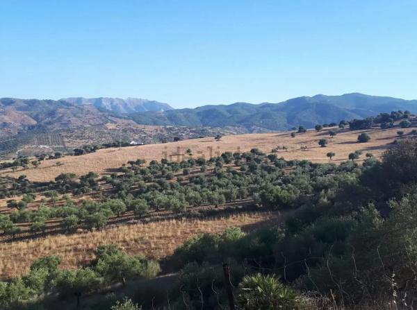 Terreno en Tolox s/n