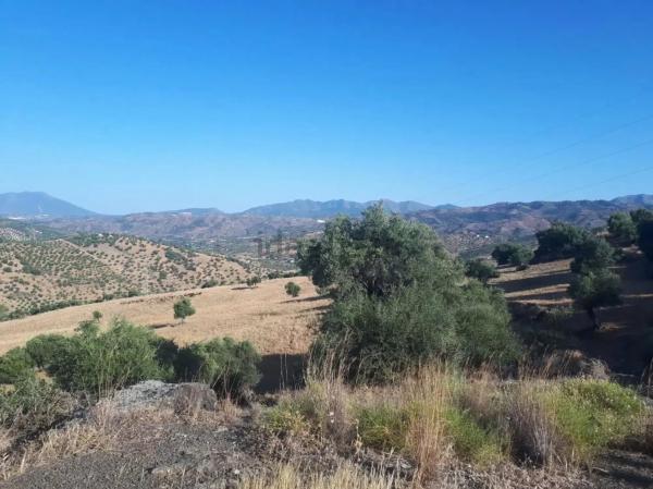 Terreno en Tolox s/n