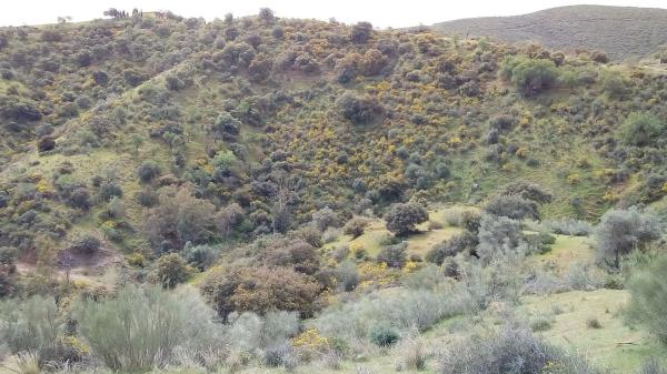 Terreno en Poligono 22 s/n