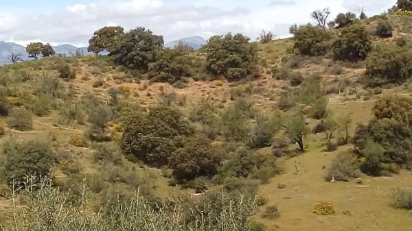 Terreno en Poligono 22 s/n