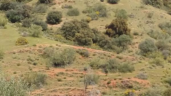 Terreno en Poligono 22 s/n