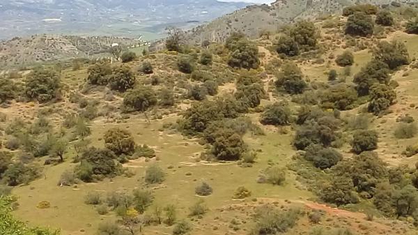 Terreno en Poligono 22 s/n