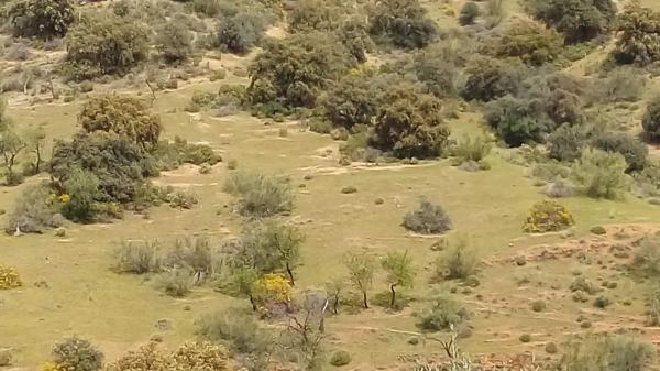 Terreno en Poligono 22 s/n