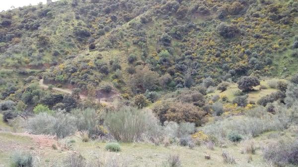 Terreno en Poligono 22 s/n