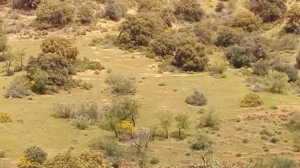 Terreno en Poligono 22 s/n