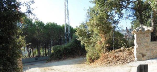 Terreno en Barrio Sur, 15