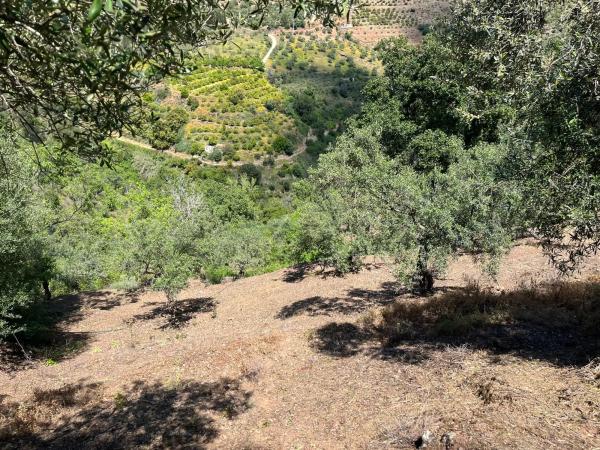 Terreno en Cara de los cervos s/n