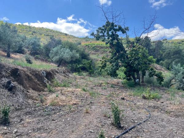 Terreno en Cara de los cervos s/n