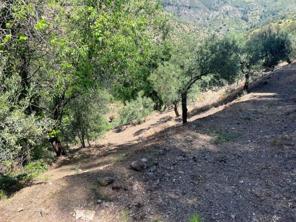 Terreno en Cara de los cervos s/n