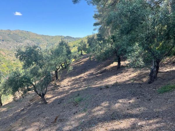 Terreno en Cara de los cervos s/n