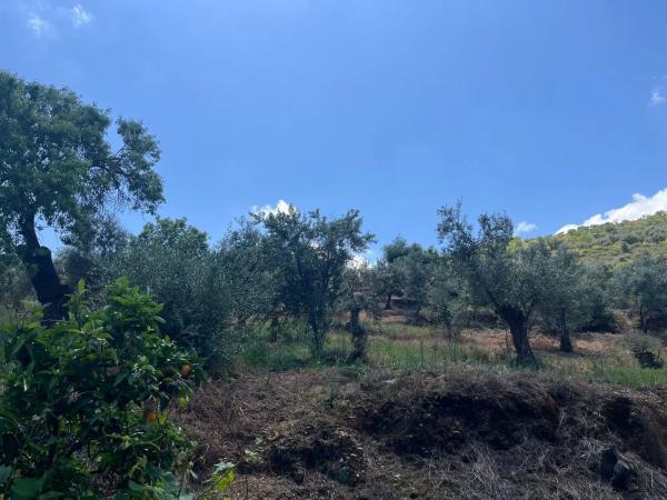 Terreno en Cara de los cervos s/n