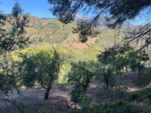 Terreno en Cara de los cervos s/n