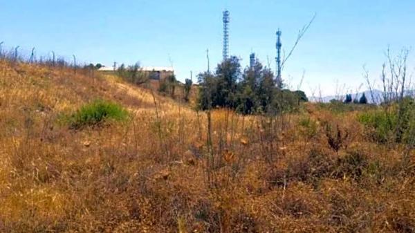 Terreno en calle Jardinera