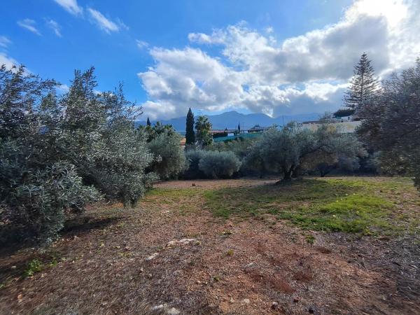 Terreno en cuesta del Palmar