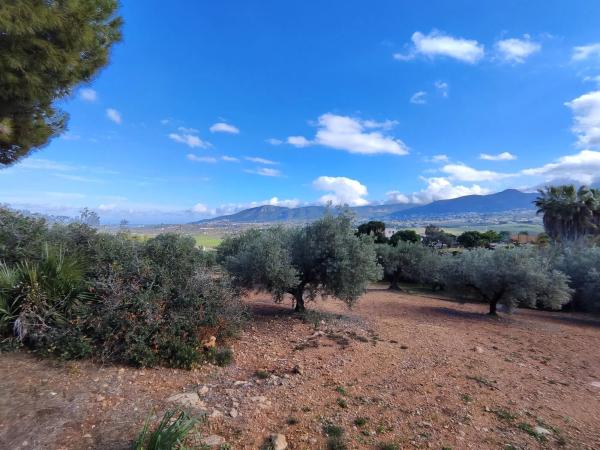 Terreno en cuesta del Palmar