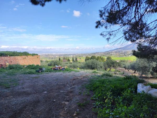 Terreno en cuesta del Palmar