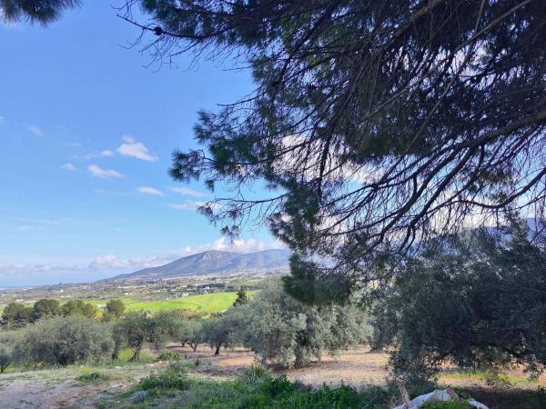 Terreno en cuesta del Palmar