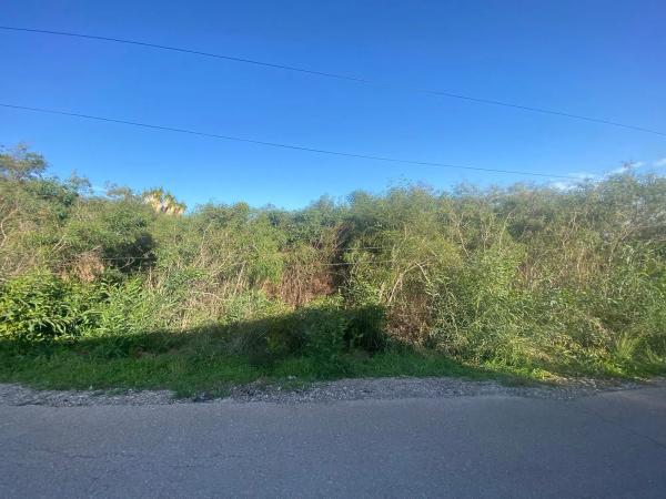 Terreno en avenida de las Adelfas, 60