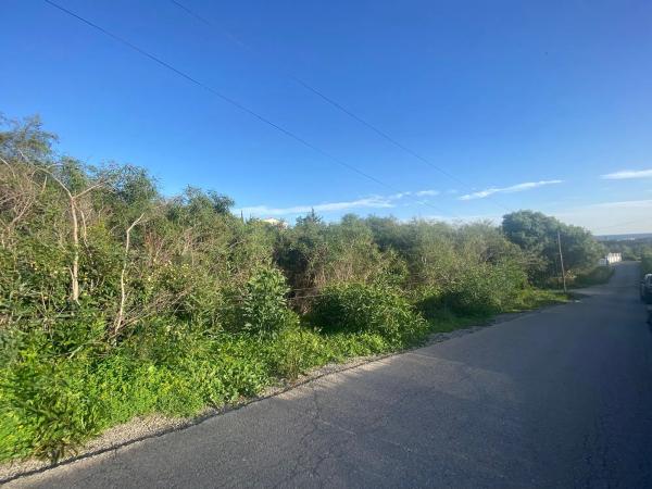 Terreno en avenida de las Adelfas, 60