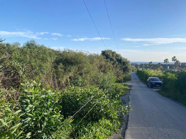 Terreno en avenida de las Adelfas, 60