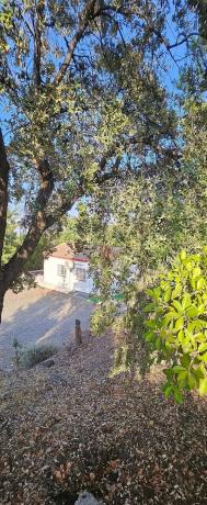 Terreno en camino de la Alpujata