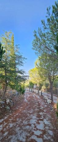 Terreno en camino de la Alpujata