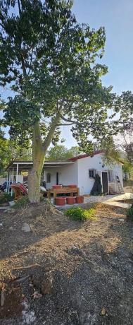 Terreno en camino de la Alpujata