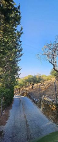 Terreno en camino de la Alpujata