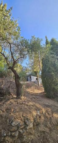 Terreno en camino de la Alpujata