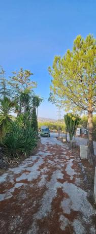 Terreno en camino de la Alpujata