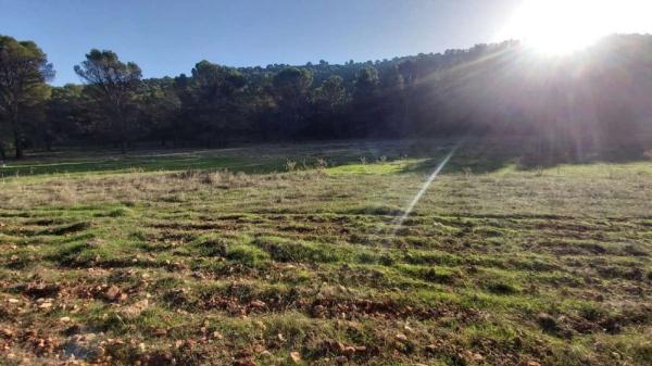 Terreno en Humilladero