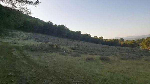 Terreno en Humilladero