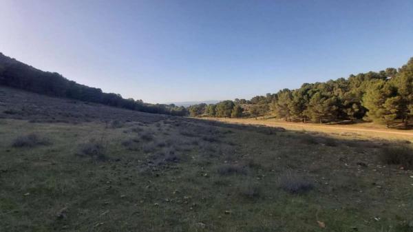Terreno en Humilladero
