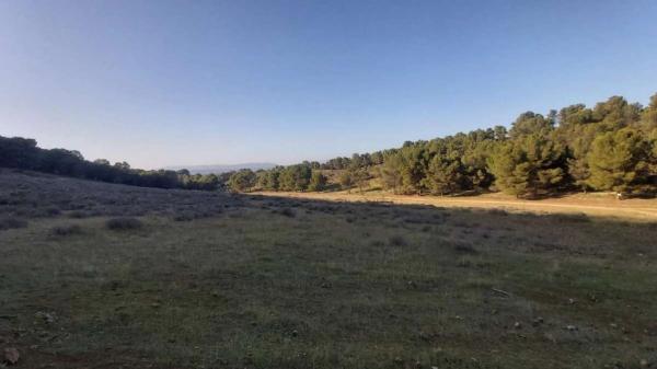 Terreno en Humilladero