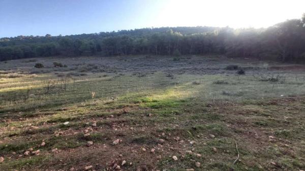 Terreno en Humilladero