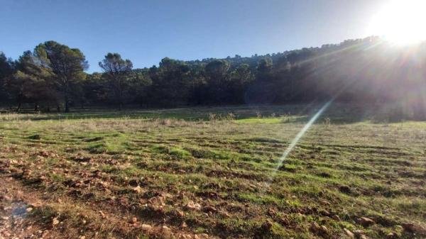 Terreno en Humilladero