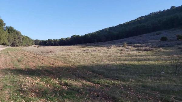 Terreno en Humilladero