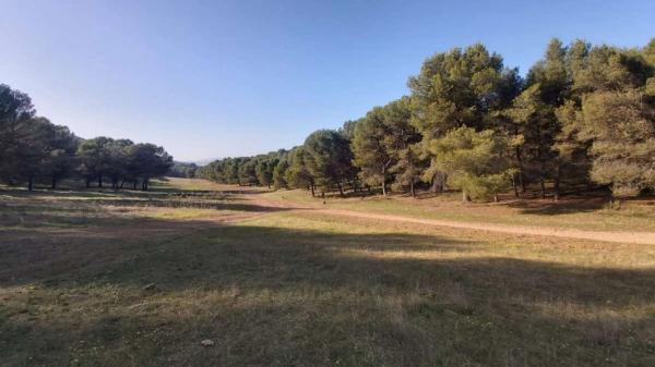 Terreno en Humilladero