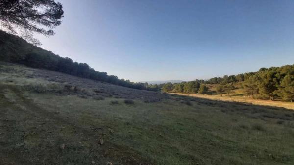 Terreno en Humilladero